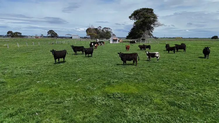 Second view of Homely rural property listing, 138 Morrells Road, Ondit VIC 3249