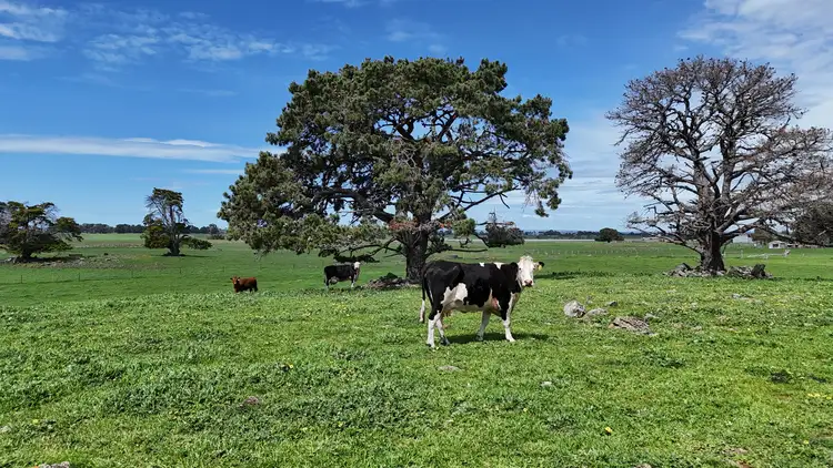 Sixth view of Homely rural property listing, 138 Morrells Road, Ondit VIC 3249