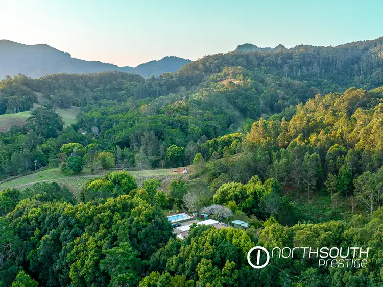 Third view of Homely house listing, 653-681 Nobbys Creek Road, Nobbys Creek NSW 2484