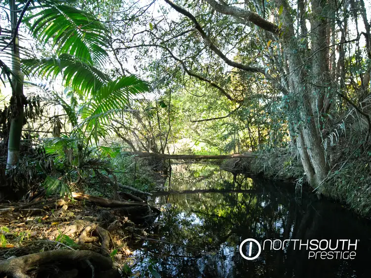 Fifth view of Homely house listing, 653-681 Nobbys Creek Road, Nobbys Creek NSW 2484