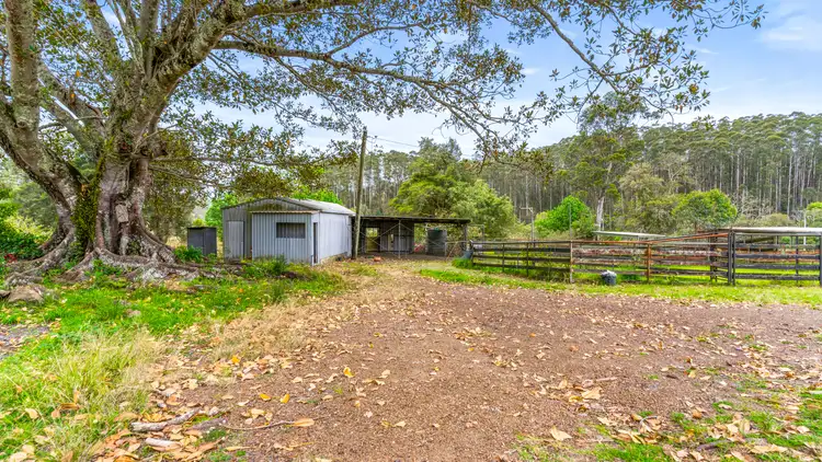 Fifth view of Homely rural property listing, 792 Mooral Creek Road, Strathcedar NSW 2429