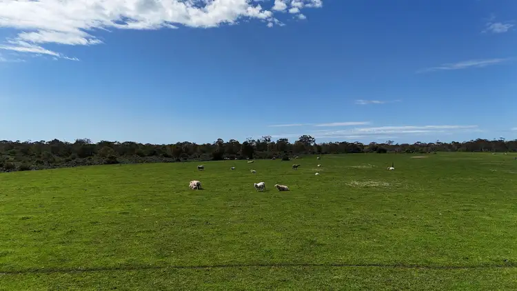 Third view of Homely rural property listing, 220 Harlocks Road, Pomborneit North VIC 3260