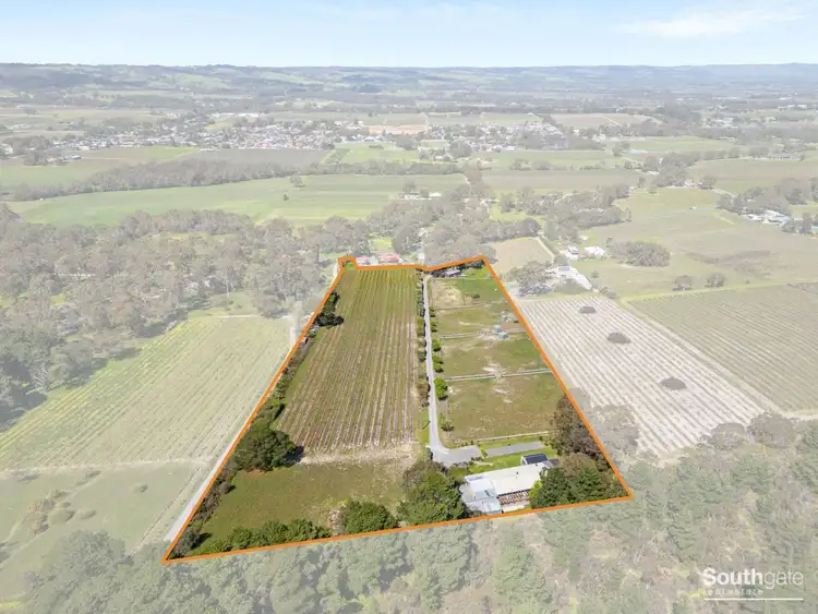 Main view of Homely rural property listing, 131 Blewitt Springs Road, Mclaren Flat SA 5171