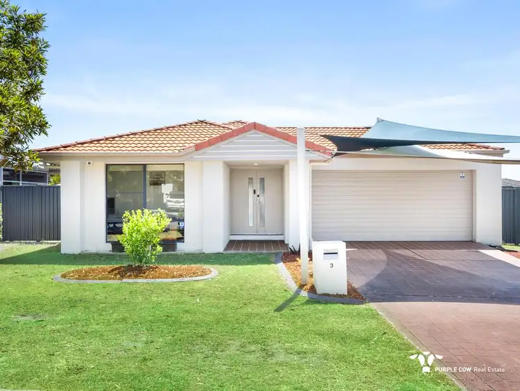 Main view of Homely house listing, 3 Budawang Street, Parkinson QLD 4115