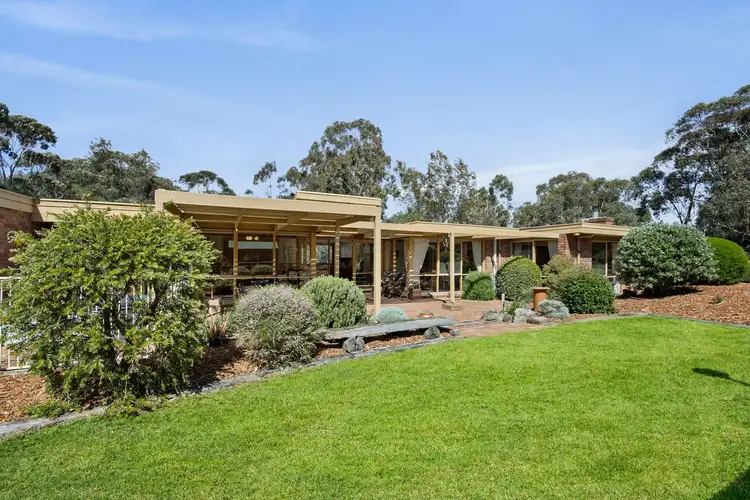 10 Sagittarius Street