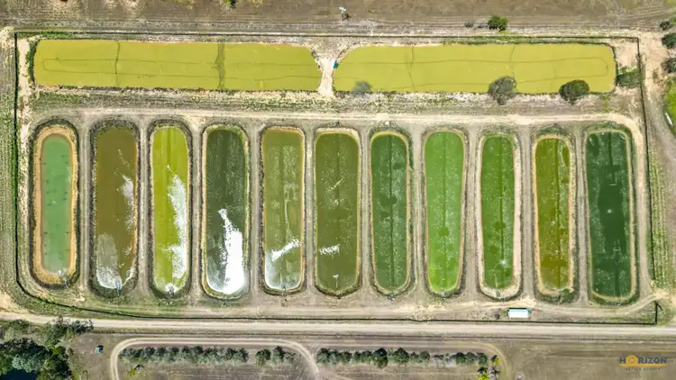 Fourth view of Homely house listing, 586 Hodzic Road, Biboohra QLD 4880