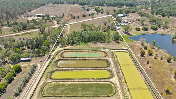 Sixth view of Homely house listing, 586 Hodzic Road, Biboohra QLD 4880