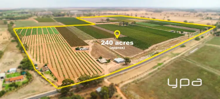 Second view of Homely rural property listing, 103-135 Reserve Road, Piangil VIC 3597