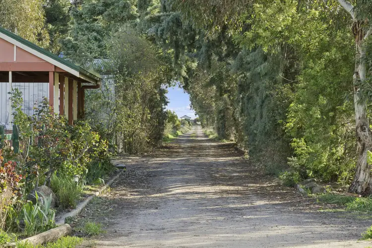 Second view of Homely rural property listing, 445 Creswick Road, Clunes VIC 3370