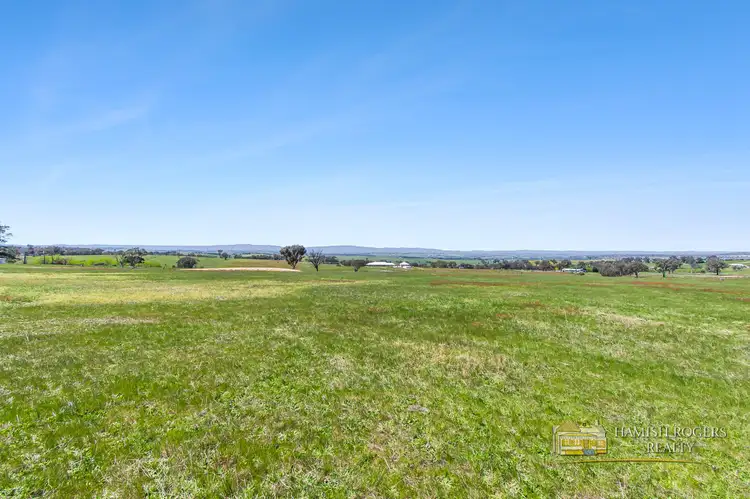 399 Mount Rankin Road