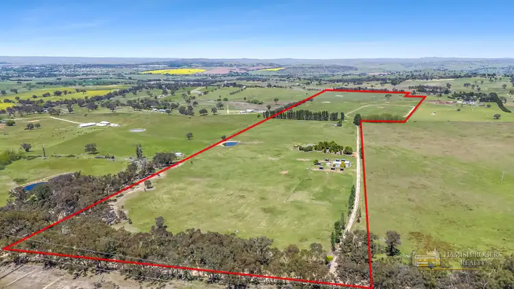 399 Mount Rankin Road, Mount Rankin NSW 2795