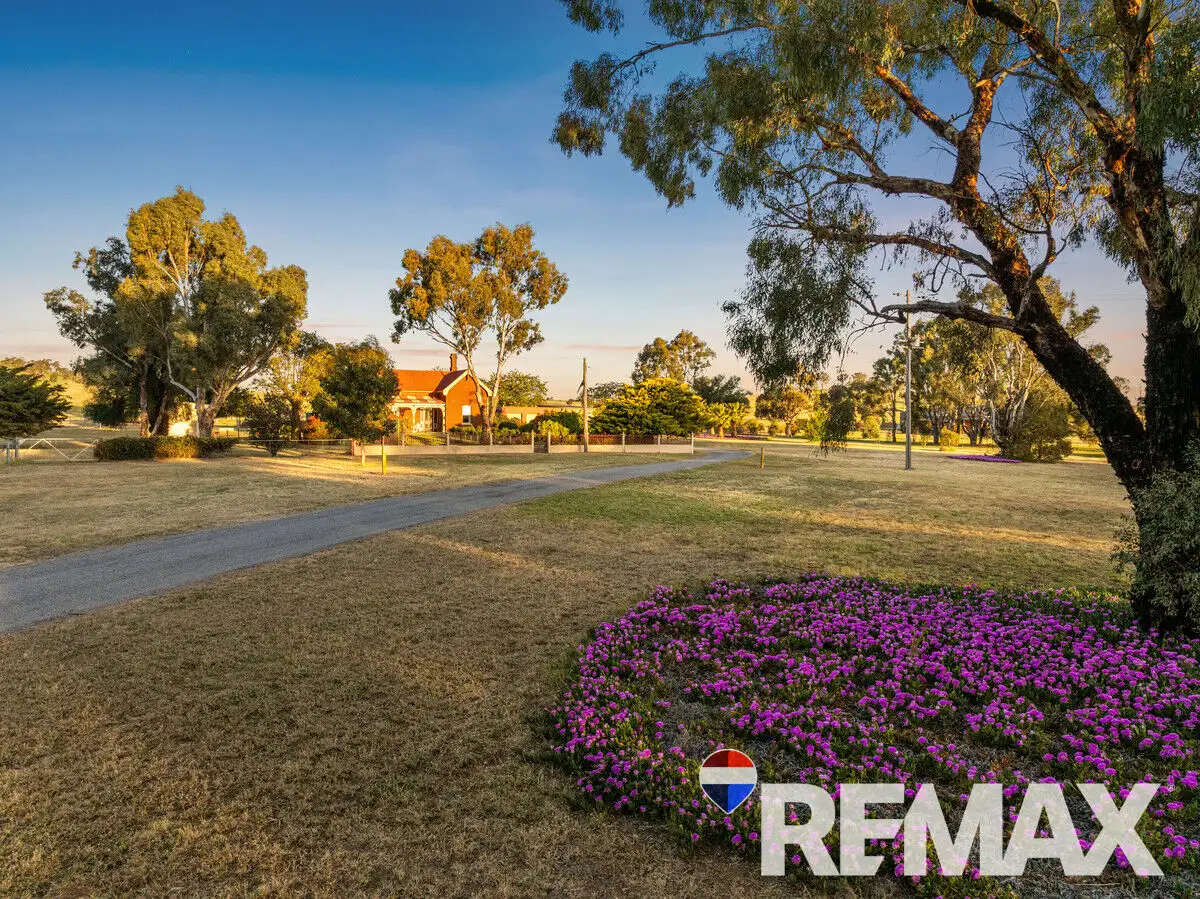 Main view of Homely rural property listing, 2992 Byrnes Road, Junee NSW 2663