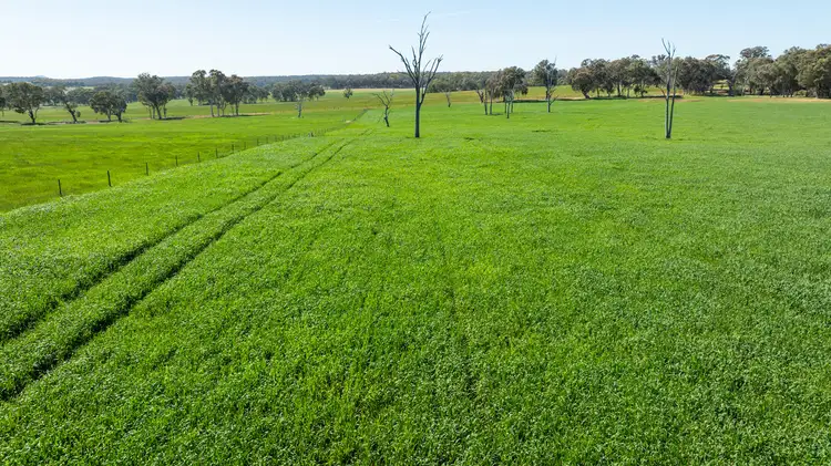 Fourth view of Homely rural property listing, 16 McGee Road, Cornishtown VIC 3683