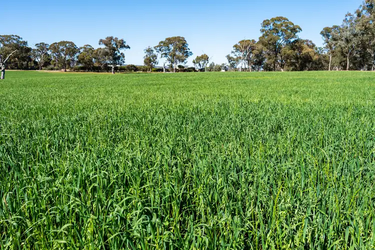 Fifth view of Homely rural property listing, 16 McGee Road, Cornishtown VIC 3683