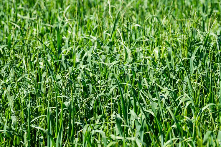 Sixth view of Homely rural property listing, 16 McGee Road, Cornishtown VIC 3683