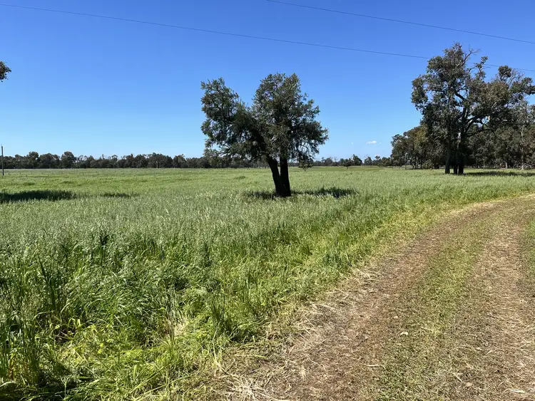 Proposed Lot 241 Downs Road