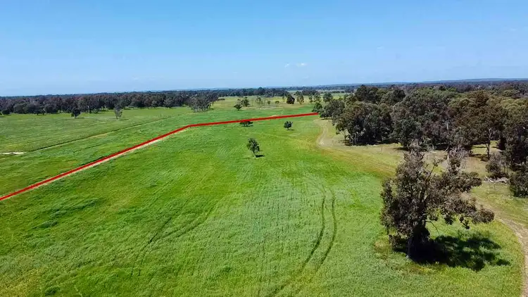 Proposed Lot 241 Downs Road, Ludlow WA 6280