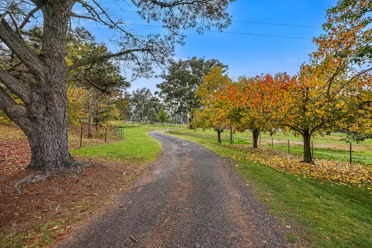 Third view of Homely rural property listing, 80 Doughboy Street, Murrurundi NSW 2338