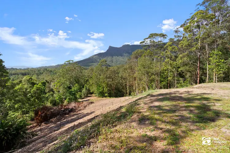 Sixth view of Homely land listing, 185 Everinghams Road, Pumpenbil NSW 2484