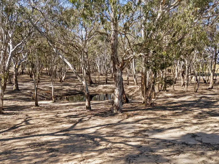 Fifth view of Homely rural property listing, LOT 1 Maffra-Briagolong Road, Maffra VIC 3860