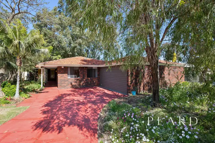 14 Princeton Court, Thornlie WA 6108