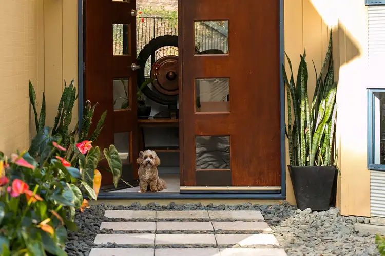 17 Cocos Court, Doonan QLD 4562