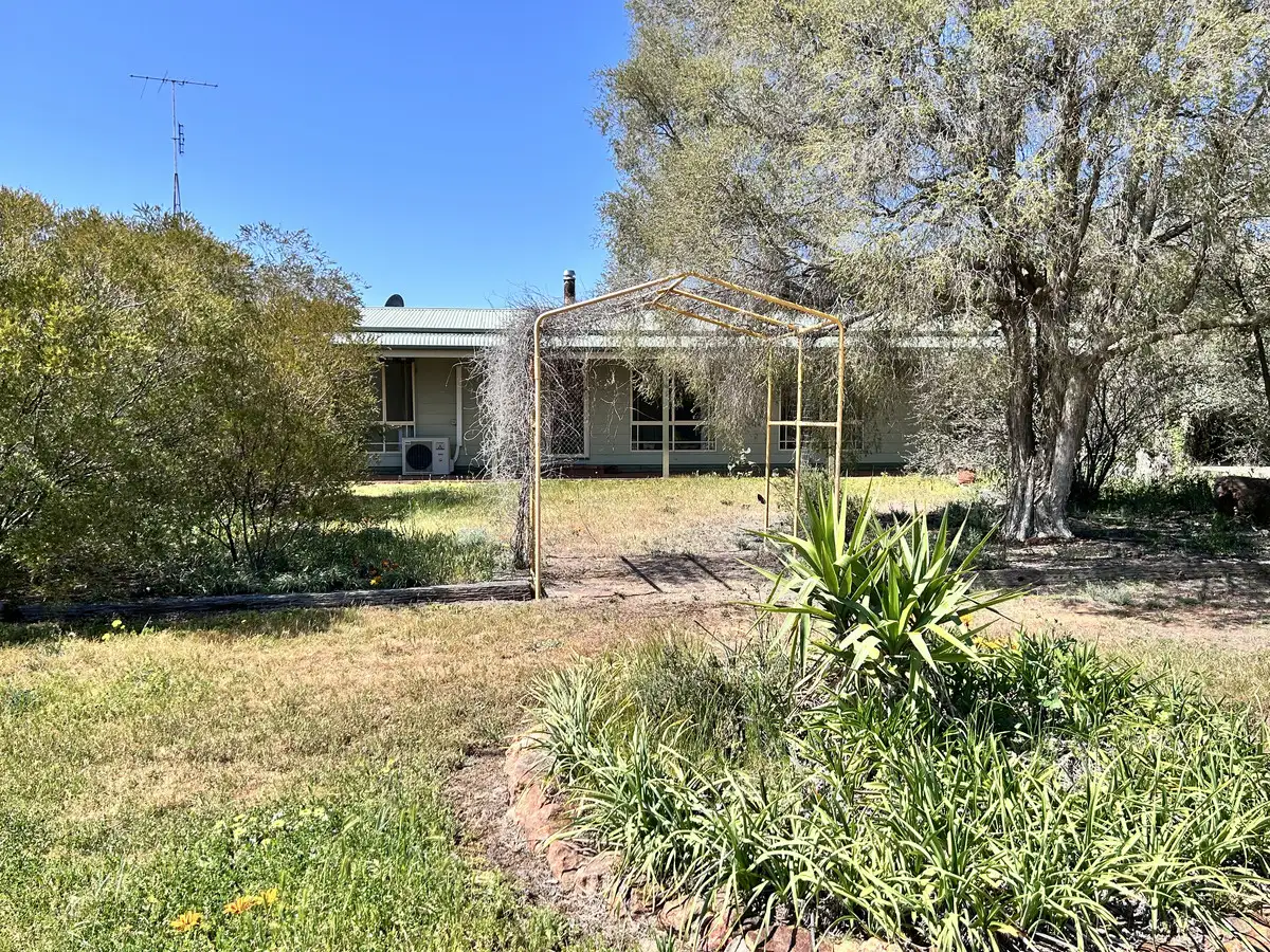 Main view of Homely house listing, 8-10 Frederick Street,, Urana NSW 2645