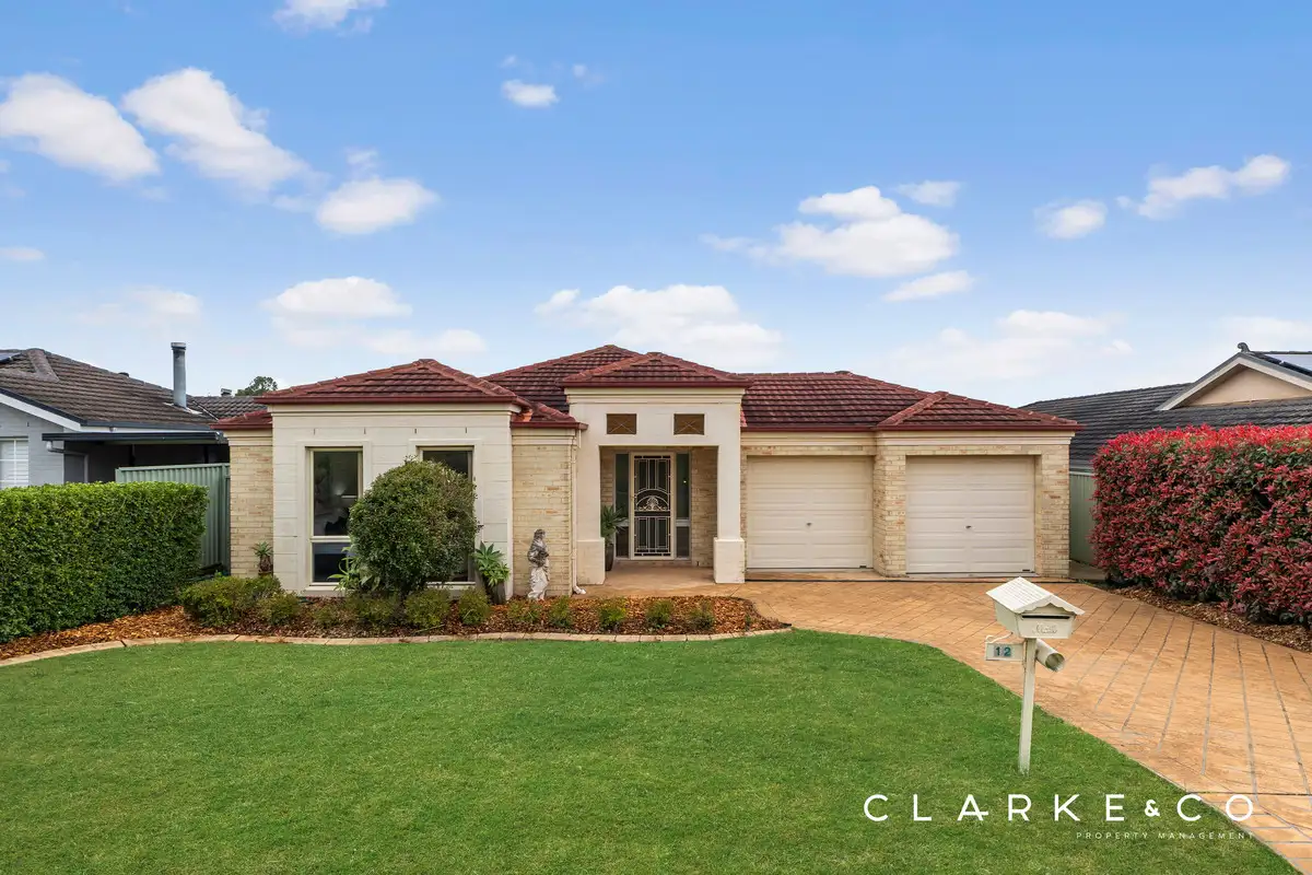 Main view of Homely house listing, 12 Tristania Court, Thornton NSW 2322