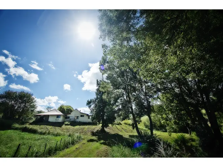 Sixth view of Homely rural property listing, 141 sunny corner Road, Bellingen NSW 2454