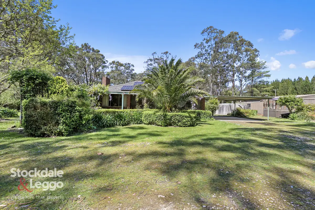 Main view of Homely rural property listing, 365 Macintoshs Road, Boolarra VIC 3870