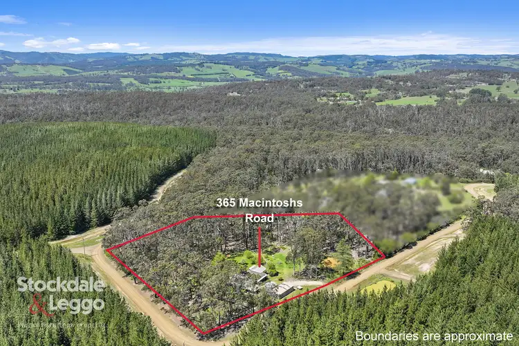 Second view of Homely rural property listing, 365 Macintoshs Road, Boolarra VIC 3870