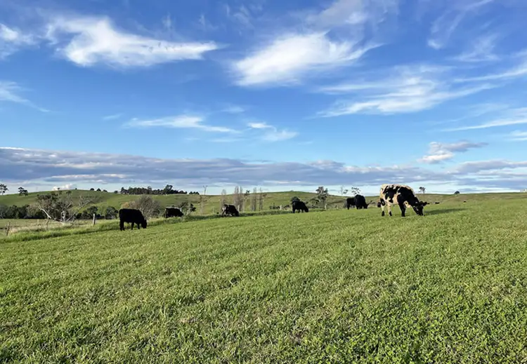 Second view of Homely rural property listing, 169 Cochranes Road, Wolumla NSW 2550