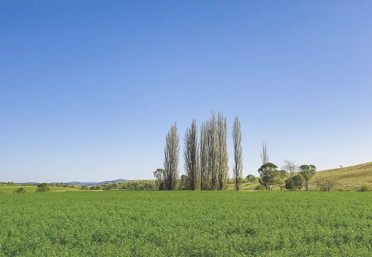 Fifth view of Homely rural property listing, 169 Cochranes Road, Wolumla NSW 2550