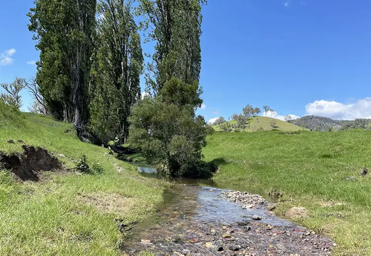 Sixth view of Homely rural property listing, 169 Cochranes Road, Wolumla NSW 2550