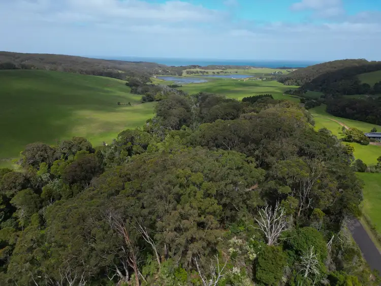 Second view of Homely rural property listing, 185 Red Johanna Road, Johanna VIC 3238