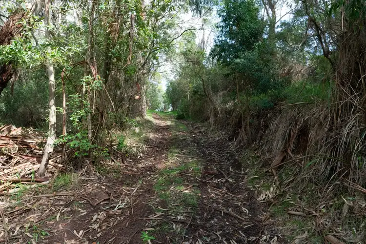 Fourth view of Homely rural property listing, 185 Red Johanna Road, Johanna VIC 3238
