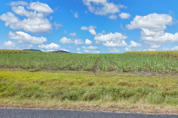 Fourth view of Homely land listing, LOT 1 Kochs Road, Farleigh QLD 4741