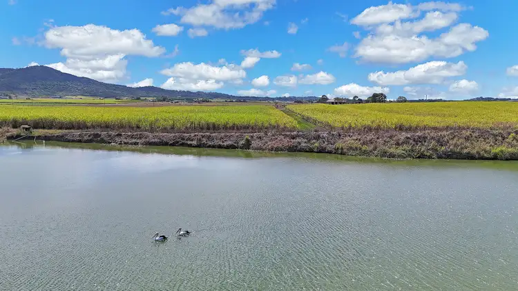 Sixth view of Homely land listing, LOT 1 Kochs Road, Farleigh QLD 4741