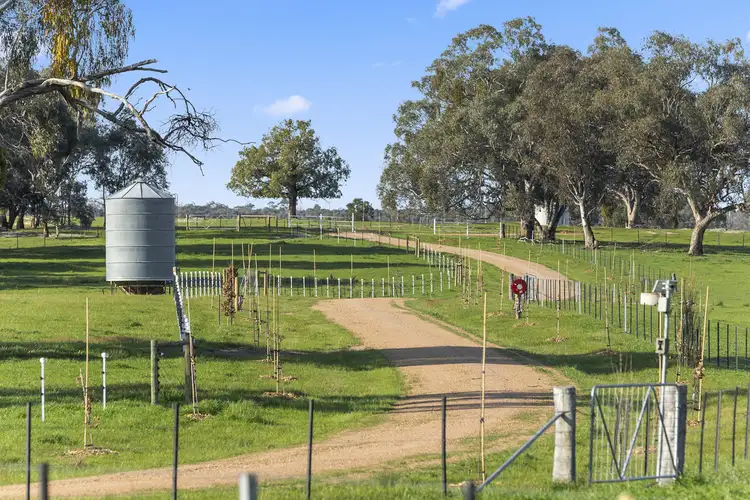 Second view of Homely rural property listing, Springdale Road, Tarrawingee VIC 3678