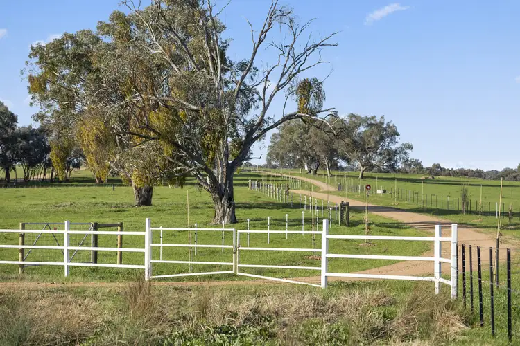 Sixth view of Homely rural property listing, Springdale Road, Tarrawingee VIC 3678