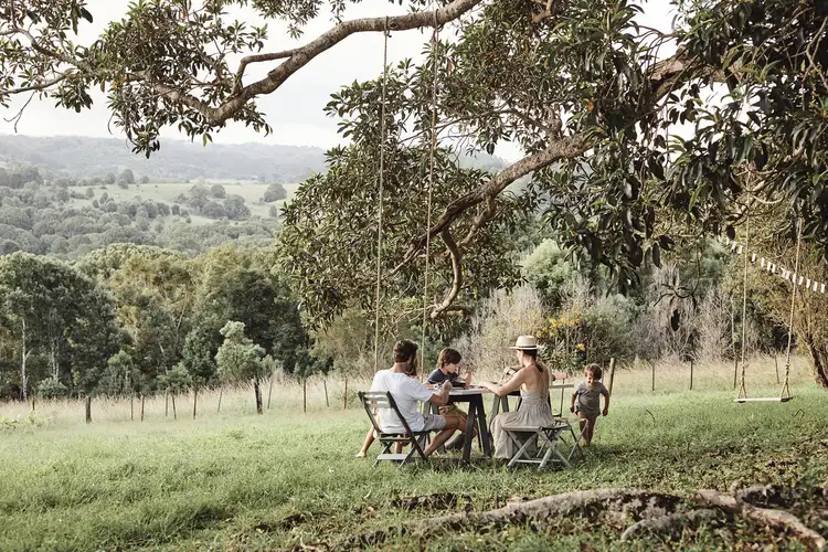 Fifth view of Homely house listing, 202 Binna Burra Road, Binna Burra NSW 2479