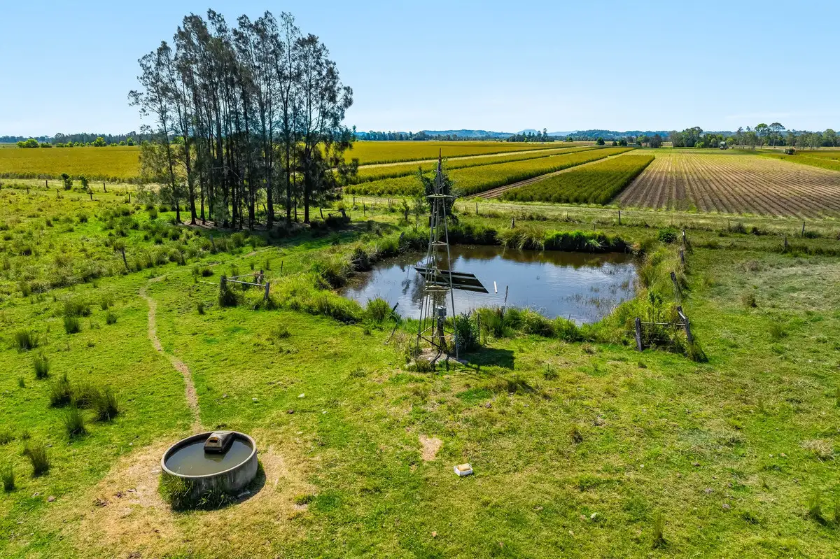 Main view of Homely rural property listing, Reynolds Road, Codrington NSW 2471