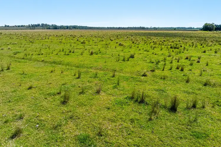 Seventh view of Homely rural property listing, Reynolds Road, Codrington NSW 2471