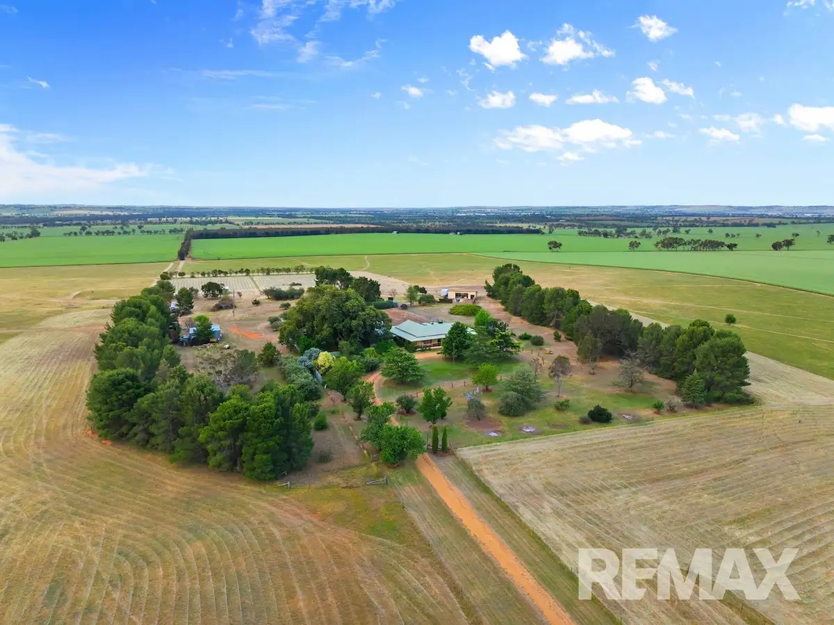 Main view of Homely rural property listing, 56 Thomson Lane, Brucedale NSW 2650