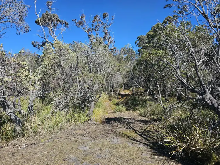 Seventh view of Homely land listing, 1434 Coles Bay Road, Coles Bay TAS 7215