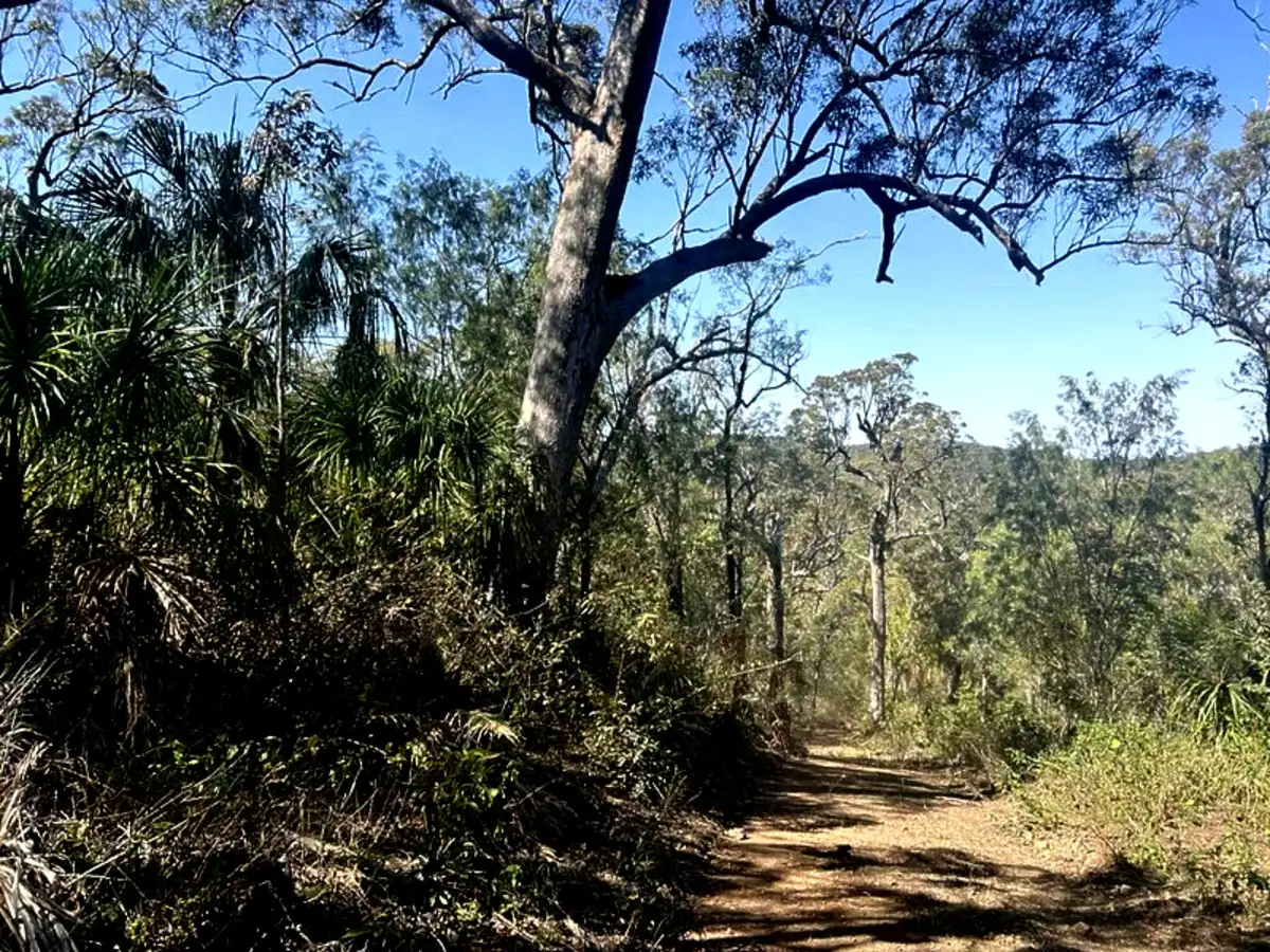 Main view of Homely land listing, 1290 Nine Mile Road, Nine Mile Creek QLD 4714