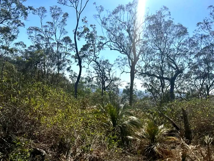 Second view of Homely land listing, 1290 Nine Mile Road, Nine Mile Creek QLD 4714