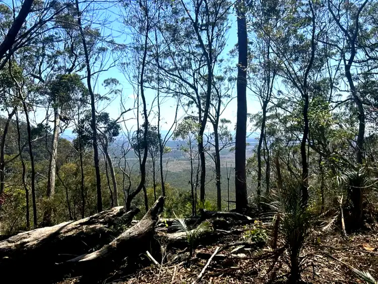 Third view of Homely land listing, 1290 Nine Mile Road, Nine Mile Creek QLD 4714