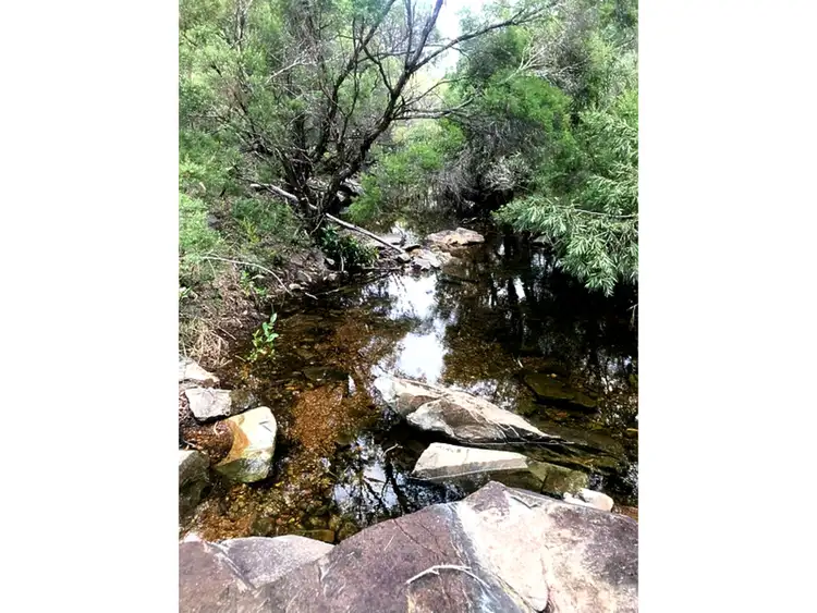 Fourth view of Homely land listing, 1290 Nine Mile Road, Nine Mile Creek QLD 4714