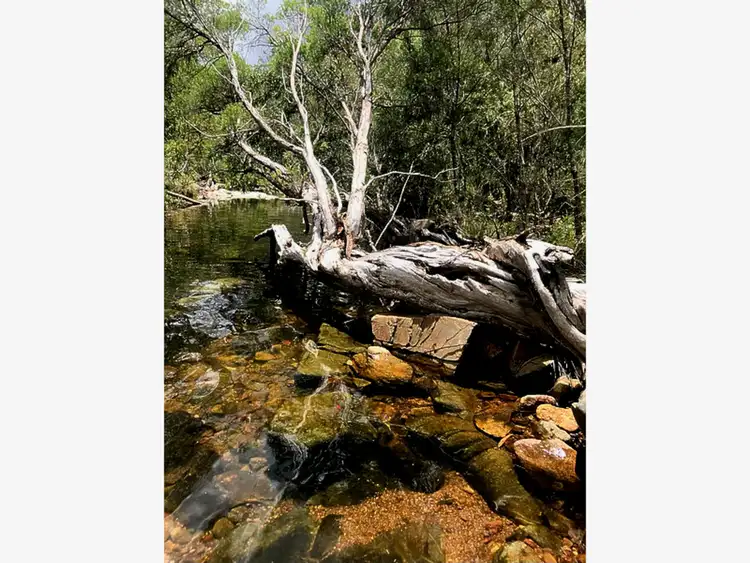 Sixth view of Homely land listing, 1290 Nine Mile Road, Nine Mile Creek QLD 4714